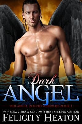 Dark Angel Paperback Felicity Heaton