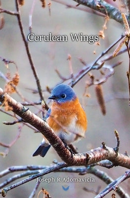 Cerulean Wings: The Published Works Paperback Joseph Robert Adomavicia