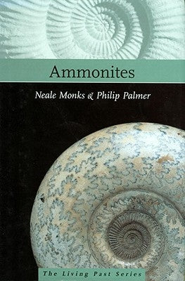 Ammonites by Monks, Neale
