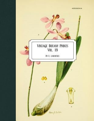 Vintage Botany Prints: Vol. 19 by Lawrence, E.