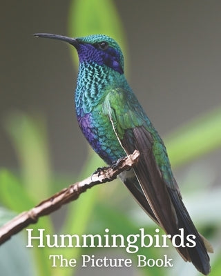 Hummingbirds: The Picture Book of Hummingbirds Great Gift for Parkinson's Alzheimer's & Seniors with Dementia. by Publisher, Lisa