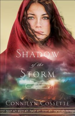 Cover image of "Shadow of the Storm" by Bethany House Publishers, featuring dark, stormy artwork with a mysterious shadow.