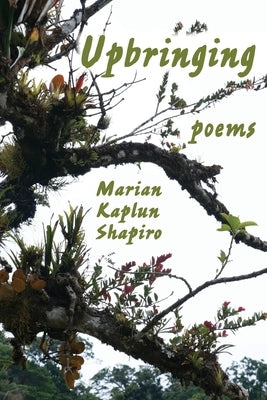 Upbringing Paperback Plain View Press LLC