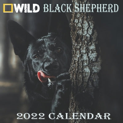 Black Shepherd Calendar 2022: BLACK SHEPHERD calendar 2022 "8.5x8.5" Inch 16 Months JAN 2022 TO APR 2023 finished and Glossy by World Pub, Animal