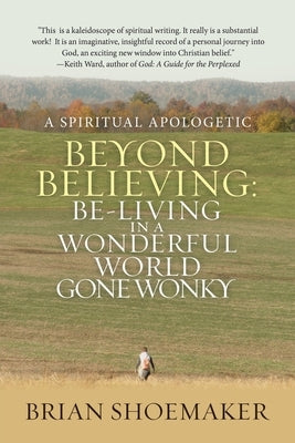 Beyond Believing: Be-Living in a Wonderful World Gone Wonky: A Spiritual Apologetic Paperback WestBow Press