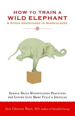 How to Train a Wild Elephant: And Other Adventures in Mindfulness by Bays, Jan Chozen