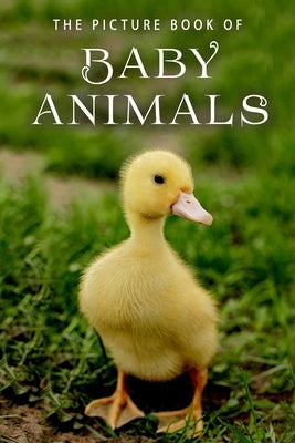 The Picture Book of Baby Animals: A Gift Book for Alzheimer's Patients and Seniors with Dementia by Books, Sunny Street