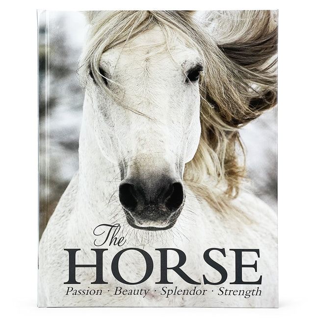 The Horse by Parragon Books