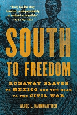 South to Freedom: Runaway Slaves to Mexico and the Road to the Civil War Paperback Basic Books