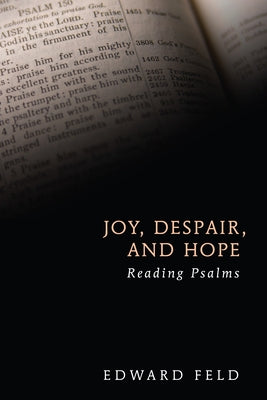 Joy, Despair, and Hope Paperback Cascade Books