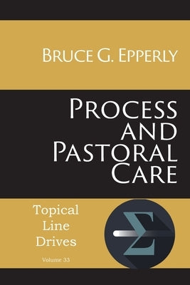 Process and Pastoral Care Paperback Energion Publications