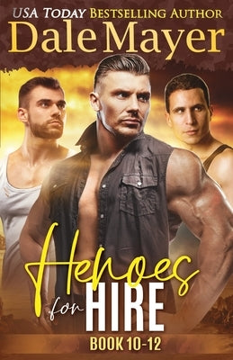 Heroes for Hire Books 10-12 Paperback Valley Publishing Ltd.