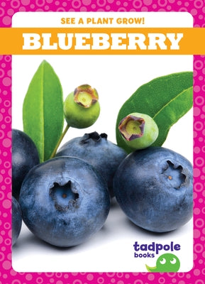 Blueberry Paperback Tadpole Books