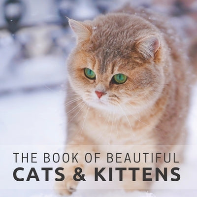 The Book of Beautiful Cats & Kittens: Picture Book For Seniors With Dementia (Alzheimer's) Paperback Independently Published