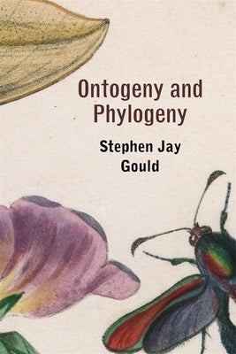 Ontogeny and Phylogeny Paperback Belknap Press