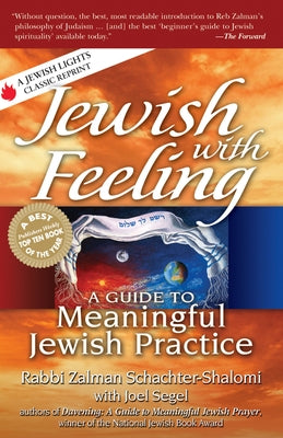 Jewish with Feeling: A Guide to Meaningful Jewish Practice Paperback Jewish Lights Publishing