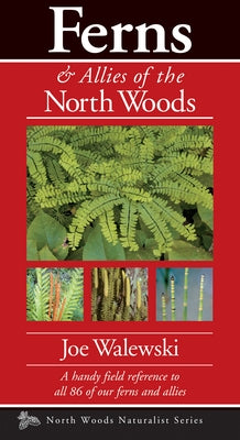 Ferns & Allies of the North Woods: A Handy Field Reference to All 86 of Our Ferns and Allies by Walewski, Joe