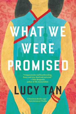 What We Were Promised Paperback Back Bay Books