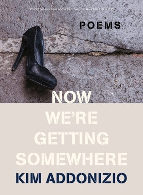 Now We're Getting Somewhere: Poems Paperback W. W. Norton & Company