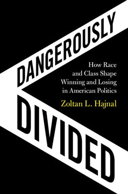 Dangerously Divided Paperback Cambridge University Press