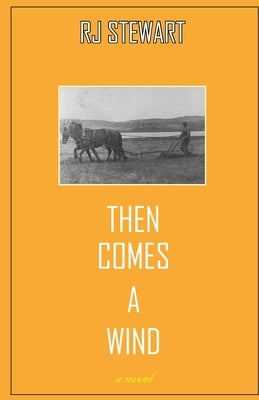 Then Comes a Wind Paperback Ronald Joe Stewart
