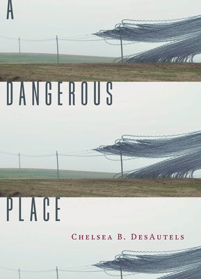 A Dangerous Place by Desautels, Chelsea B.