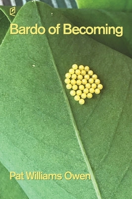 Bardo of Becoming Paperback Accents Publishing