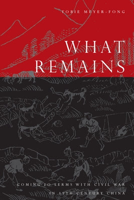 What Remains: Coming to Terms with Civil War in 19th Century China Paperback Stanford University Press