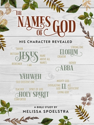 Participant workbook for The Names of God Women's Bible Study by Abingdon Press, featuring a cover with religious-themed design.