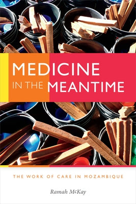 Medicine in the Meantime: The Work of Care in Mozambique Paperback Duke University Press
