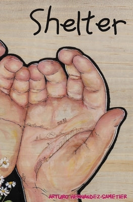 Shelter: Notes from a Detained Migrant Children's Facility Luna Triste Press