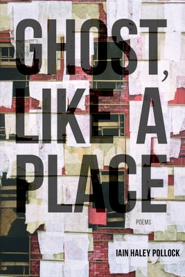 Ghost, Like a Place Paperback Alice James Books