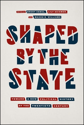 Shaped by the State: Toward a New Political History of the Twentieth Century Paperback University of Chicago Press