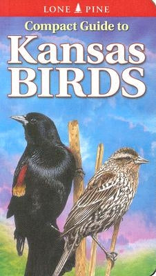 Compact Guide to Kansas Birds Lone Pine International