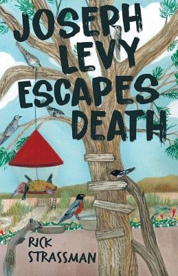 Joseph Levy Escapes Death Paperback Regent Press Printers & Publishers