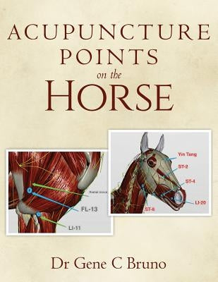 Acupuncture Points on the Horse Paperback Createspace Independent Publishing Platform