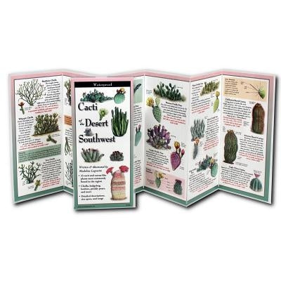 Desert Southwest cacti collection featuring various cactus species from Earth Sky + Water, shown in a natural setting.
