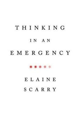 Thinking in an Emergency W. W. Norton & Company
