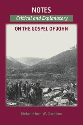 Notes on the Gospels: Critical and Explanatory on John Paperback Solid Ground Christian Books
