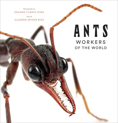 Ants: Workers of the World by Spicer Rice, Eleanor