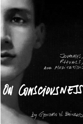 On Consciousness by Benard, Gonzalo W.