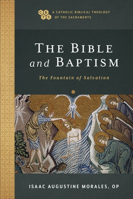 The Bible and Baptism: The Fountain of Salvation Paperback Baker Academic