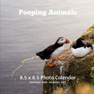 Pooping Animals 8.5 X 8.5 Calendar December 2020 - December 2021: Puffin Bird Cover - Monthly Calendar with U.S./UK/ Canadian/Christian/Jewish/Muslim by Book Press, Poop