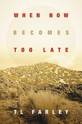 When Now Becomes Too Late Paperback Xulon Press