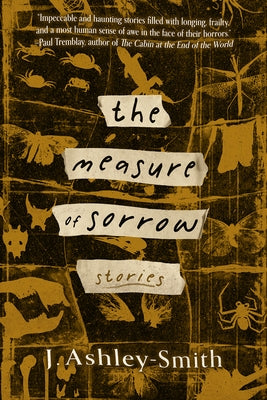 The Measure of Sorrow: Stories Paperback Meerkat Press