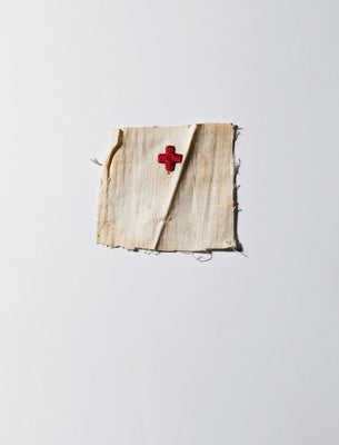 Henry Leutwyler: International Red Cross & Red Crescent Museum by Leutwyler, Henry