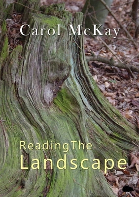 Reading The Landscape Hedgehog Poetry Press