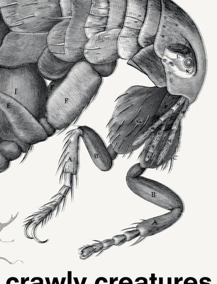 Crawly Creatures: Depiction and Appreciation of Insects and Other Critters in Art and Science Paperback Nai010 Publishers