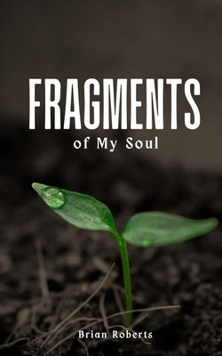 Fragments of My Soul Paperback Libresco Feeds Private Limited