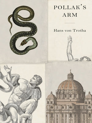 Pollak's Arm Paperback New Vessel Press